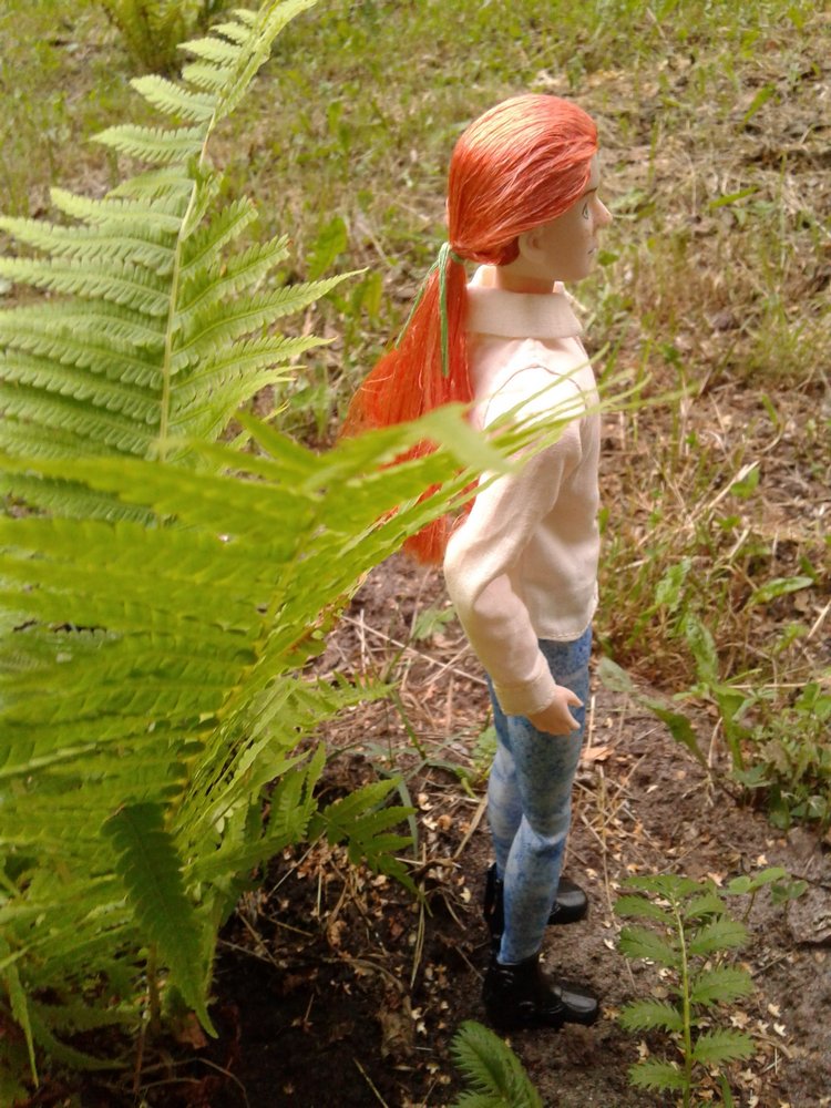 Коробка со сладостями — Куклы и тела Obitsu (Обитсу): 1/6 (фото 5)