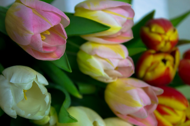 Даночка. Авторская шарнирная кукла Светланы Гоменюк, RaysvetDolls | Бэйбики Даночка. Авторская шарнирная кукла Светланы Гоменюк, RaysvetDolls (фото 7)