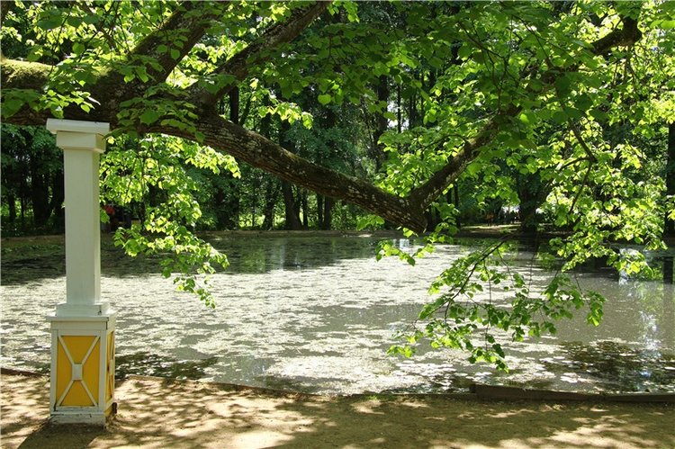 Я ехал к Вам! Пушкинский праздник в Берново, 2018 год