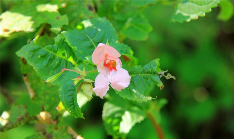 Старицкая Швейцария. Старицкие пещеры, д. Толпино, заключительная часть