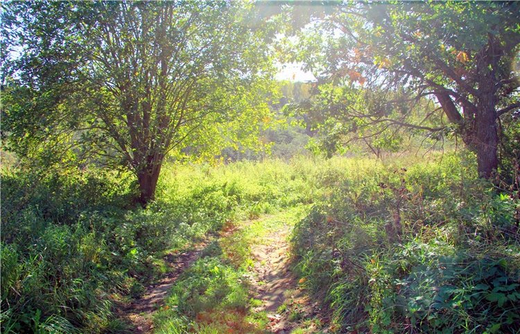 Старицкая Швейцария. Старицкие пещеры, д. Толпино, заключительная часть (фото 5)