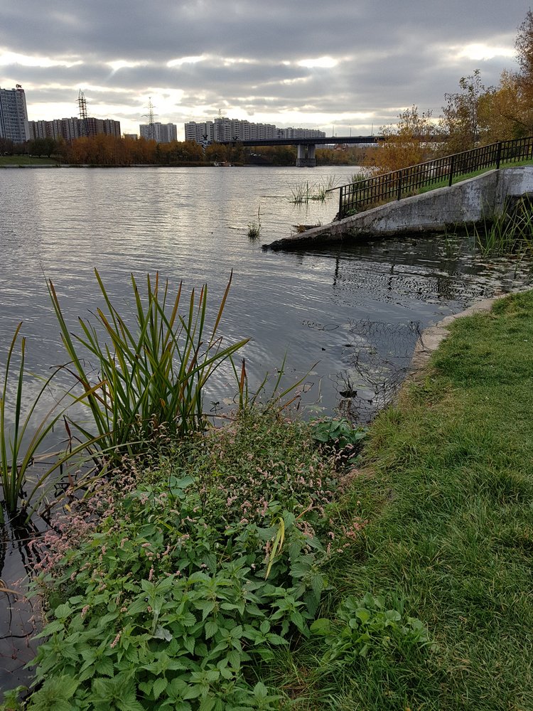 Якоб и я в парке 850-летия Москвы (фото 10)