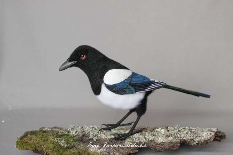 Сорока-белобока — Валяные игрушки из шерсти: сухое валяние (фото 5)