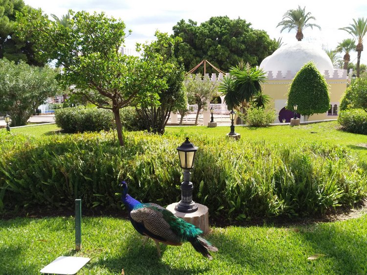 Тайна моего имени. Часть девятая. Испания, Бенальмадена, Парк Тиволи. Лесли путает все планы