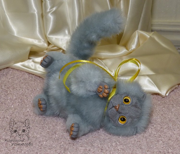 Котенок. Шотландский вислоухий (фото 8)