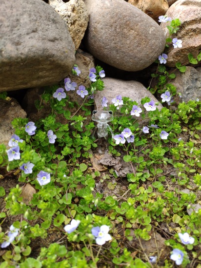 Найди меня, если сможешь — Фигурки Studio