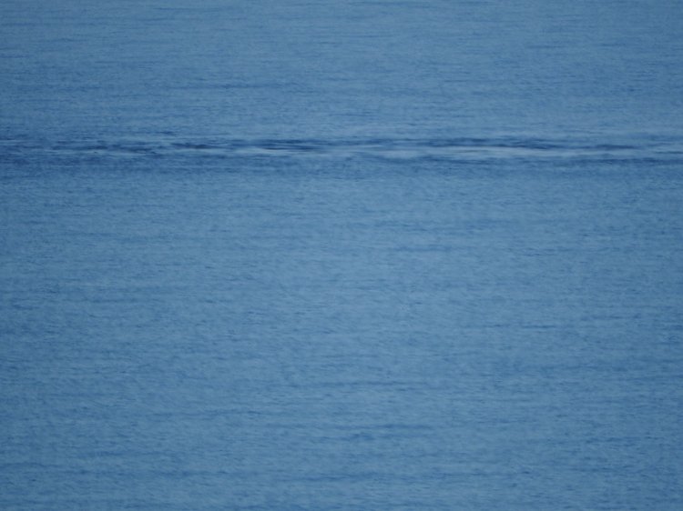 Сочи-Адлер: Южное Взморье - Красоты Черного Моря