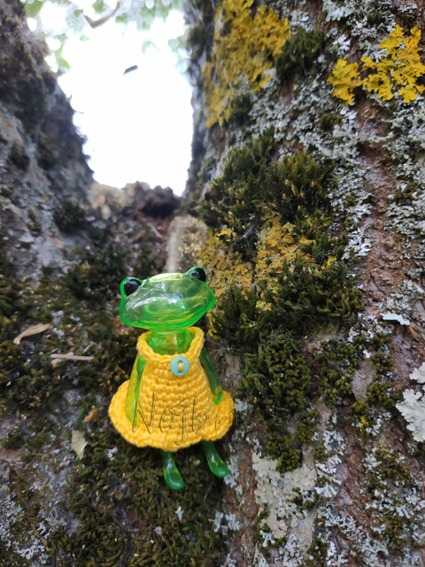 Wonderfrog. Красота в простоте