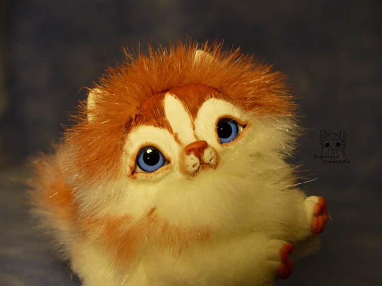 Щенок Хаски, миниатюра. Медный Окрас