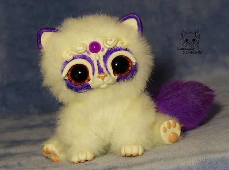 Королевские волшебные коты, породы: Мирис. В кадре и за кадром. Процесс