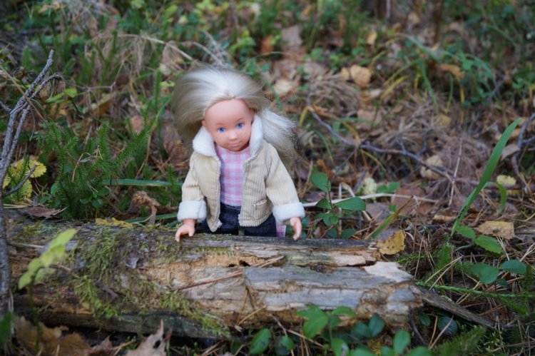 Хотите прогуляться по нашему городу? А за город - по экологической тропе