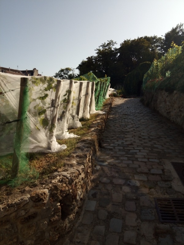 Тур по Европе или долгожданный подарок самой себе. Часть 6