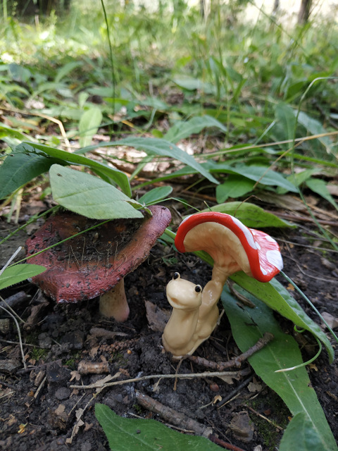 Wonderfrog. Красота в простоте. Часть 2