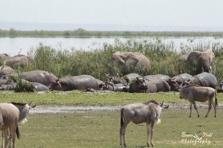 Любителям природы - профессиональные фотографии (выпуск 4)