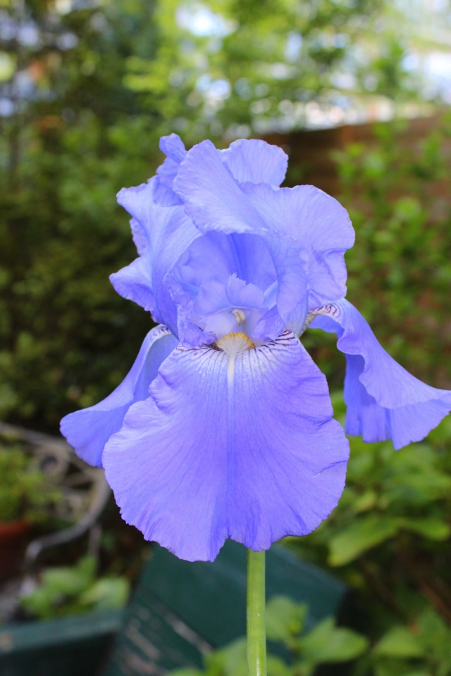 Любовь нечаянно нагрянет — Фэшн