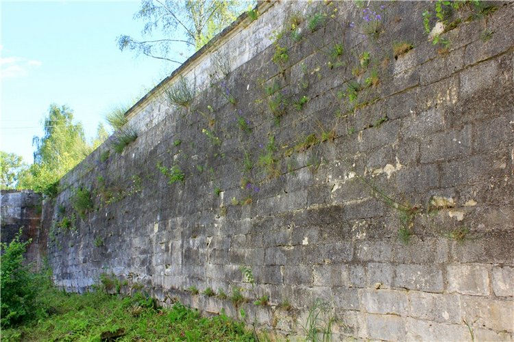 Тайны Древней Старицы — Культура