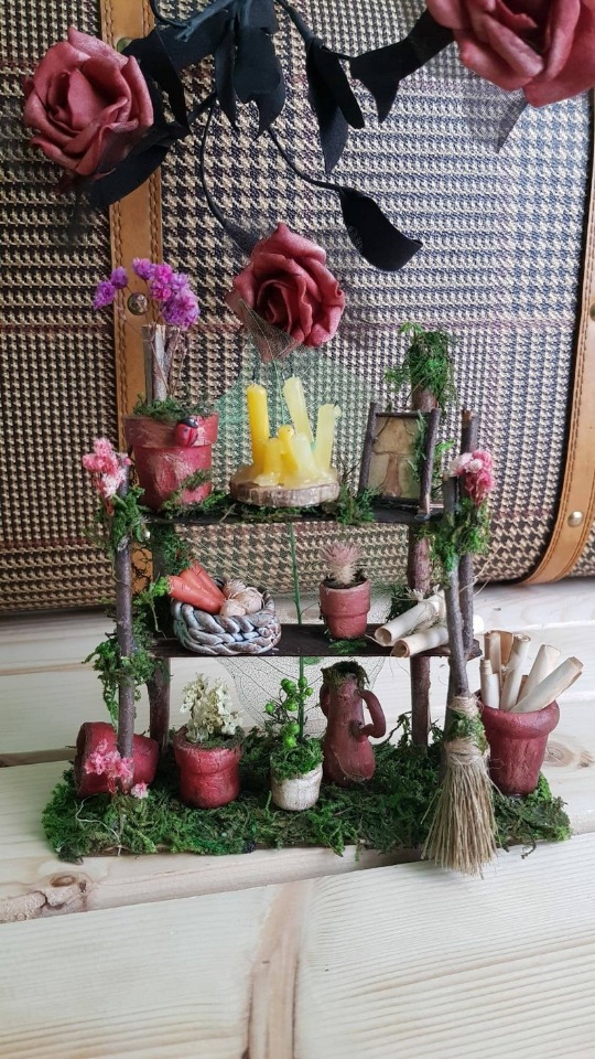 Hadasycasitas - Волшебный мир Патриции - ч.2 (фото 8)