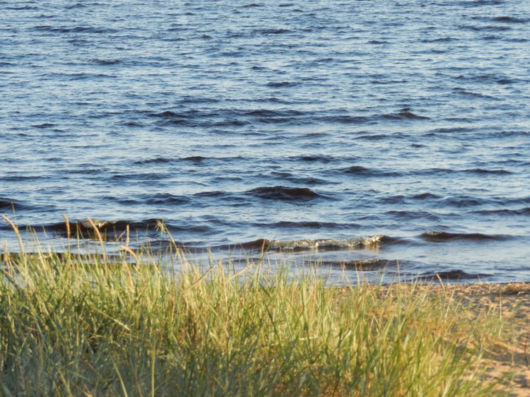 Немного позитива с Финского залива