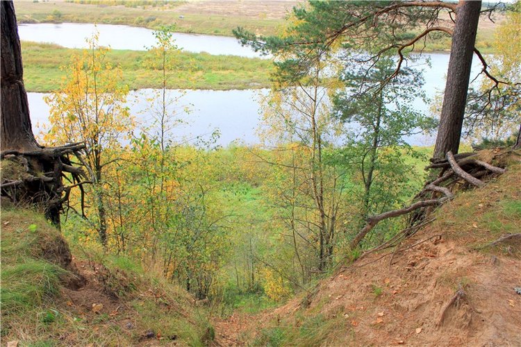 Путешествие Имани на Волгу, продолжение. Mini Imani от Kaye Wiggs