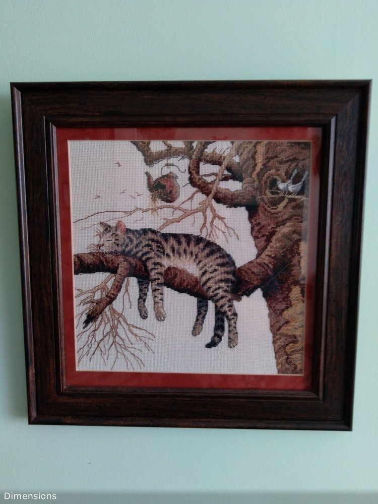 Не хочу я в Кащенко! Часть первая. Ты помнишь, как все начиналось (фото 9)