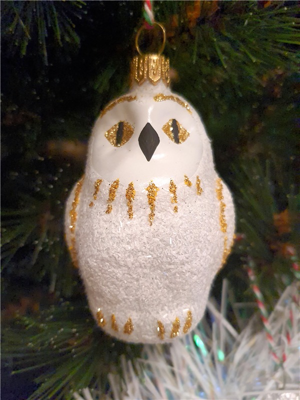 Новогоднее Волшебство 2021 года (фото 8)