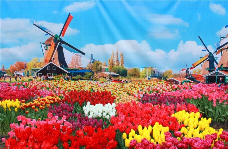 Выставка тюльпанов в Твери