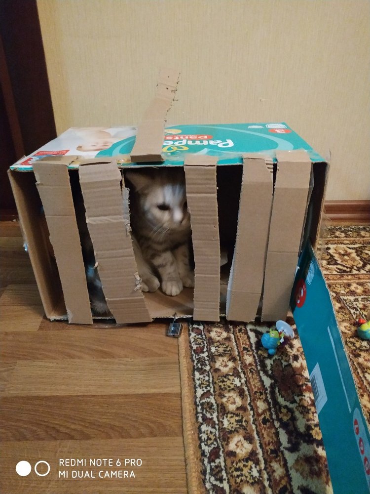 Гостей с такими подарками надо гнать поганой метлой! Или не надо (фото 7)