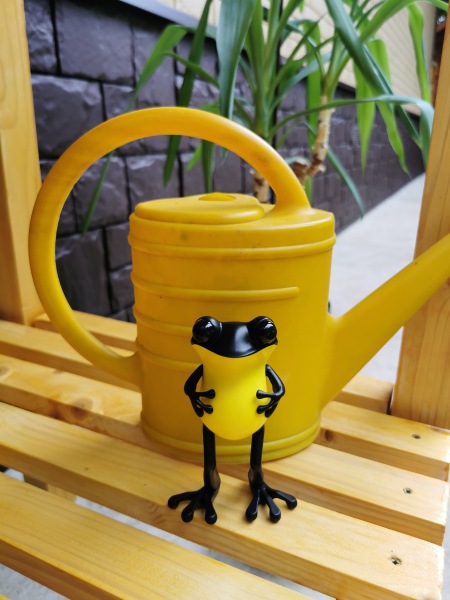 Лягушки Apo Frog от Twelvedot