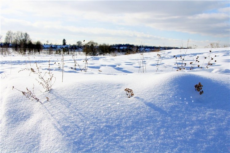 Зимняя прогулка Сони. Уникальная кукла от Сильвии Наттерер