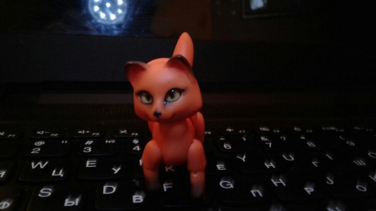 Лисёнок, мое новогоднее чудо