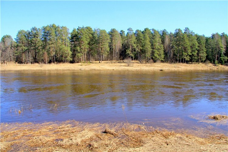 Апрельский день в Василёво, продолжение