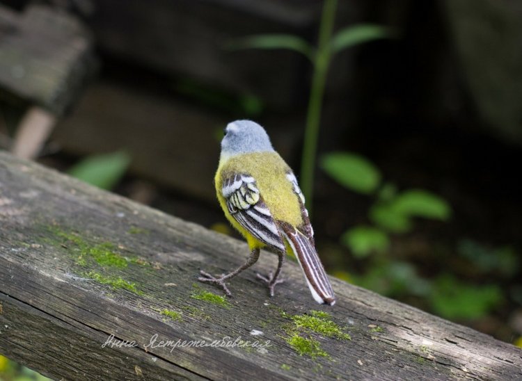 Жёлтая трясогузка — Валяные игрушки из шерсти: сухое валяние (фото 10)