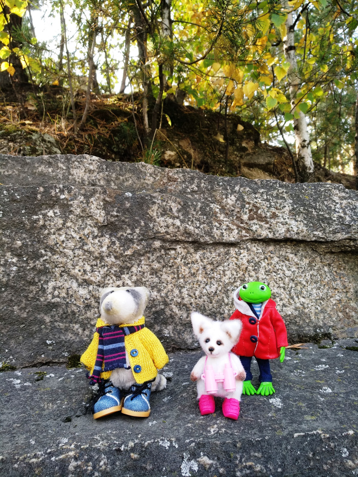 Тайна моего имени. Часть третья. Обидно, когда тебе никто не верит (фото 6)