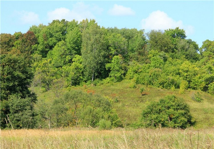 Старицкая Швейцария. Путешествие с Сашей, продолжение. Уникальная кукла от Сильвии Наттерер