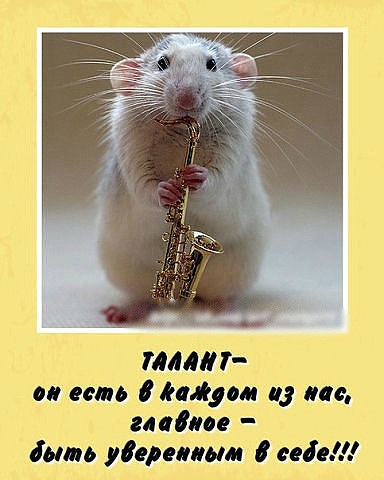 Посвящается ТВОРЧЕСКИМ людям, всем МАСТЕРАМ и МАСТЕРИЦАМ