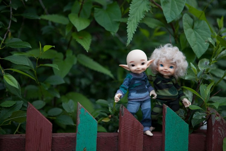 Знакомство с братьями эльфами 2 (фото 5)