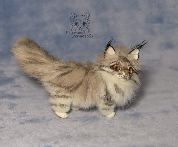 Мейн-ку́н, миниатюра. Серебристый окрас