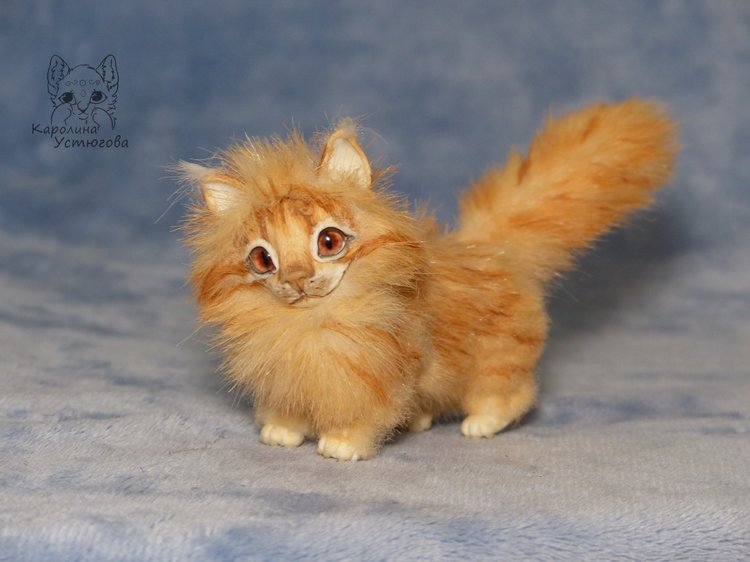 Мейн-ку́н, миниатюра. Рыженький