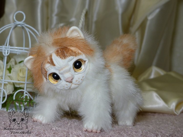 Обыкновенный котенок и его день (фото 8)