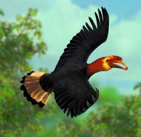 1 апреля — Международный день птиц