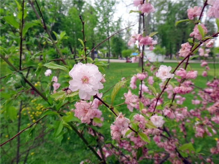 Милый мой город. Прогулка по Твери, заключительная часть