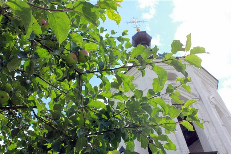 Любимая Старица. Свято-Успенский мужской монастырь (фото 5)