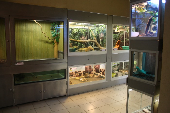 Псков. Эколого-биологический центр. Часть 2