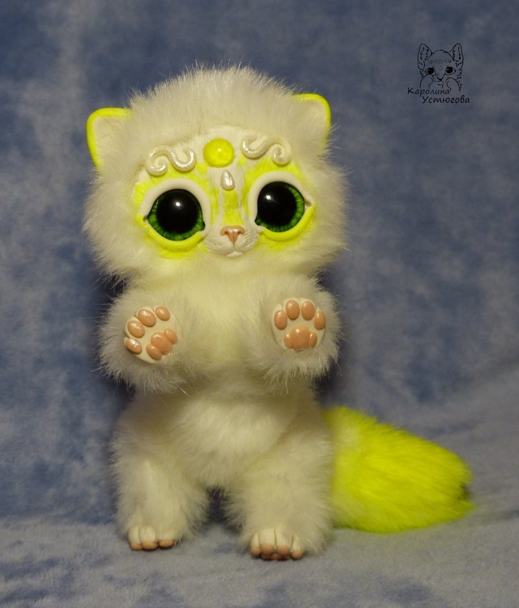 Королевские волшебные коты, породы: Мирис. В кадре и за кадром. Процесс