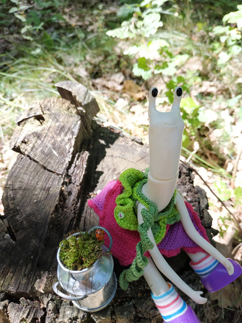 Wonderfrog. Красота в простоте. Часть 2 (фото 10)