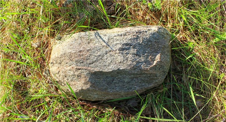 Прогулка Софи. Lati HoneyBee New Mystic Sophie | Бэйбики Прогулка Софи. Lati HoneyBee New Mystic Sophie