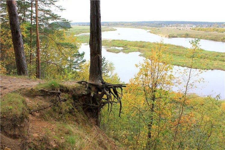 Путешествие Имани на Волгу, продолжение. Mini Imani от Kaye Wiggs