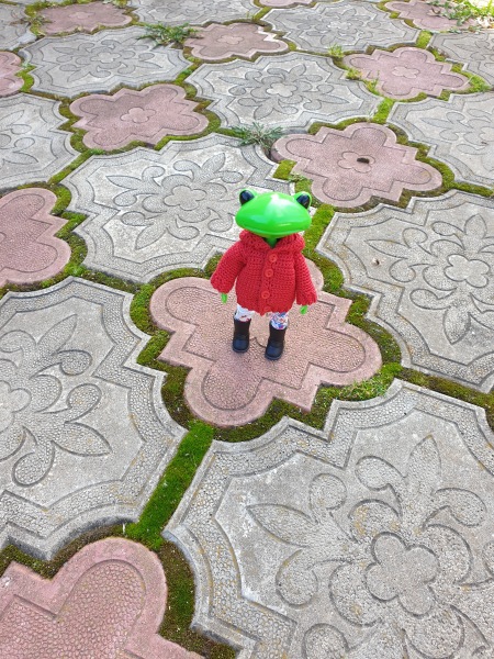 Лягушка Ванда и все-все-все