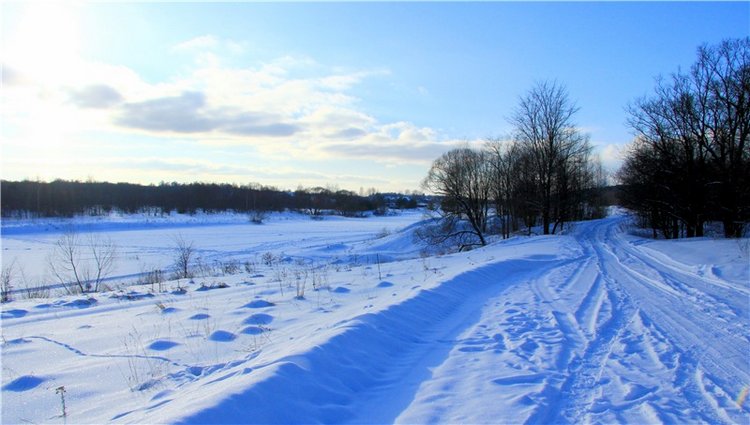 Зимняя прогулка Сони. Уникальная кукла от Сильвии Наттерер