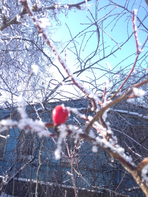 Зимняя Гюнхильд мечтает о Летней Штефке, помогите найти! S. Skille для Gotz (фото 8)
